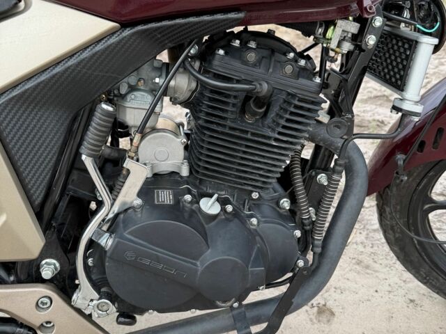 Геон Інша, об'ємом двигуна 0.25 л та пробігом 0 тис. км за 879 $, фото 2 на Automoto.ua