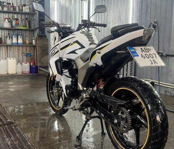 Геон Інша, об'ємом двигуна 0.25 л та пробігом 0 тис. км за 1300 $, фото 2 на Automoto.ua