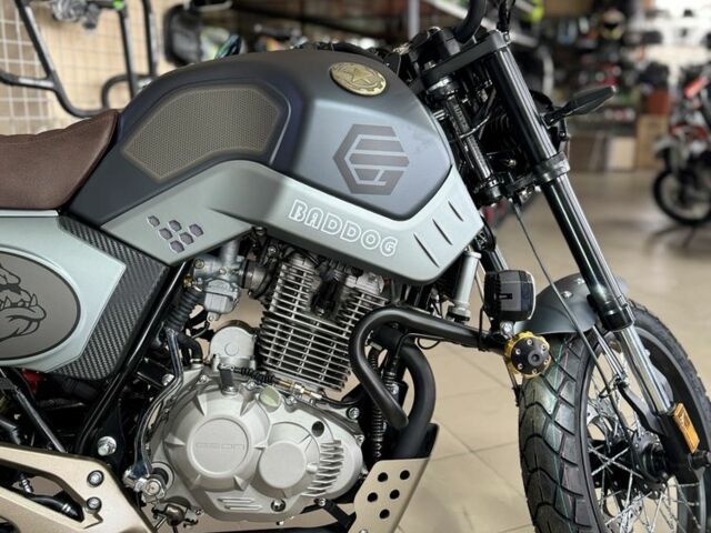 Геон Другая, объемом двигателя 0.25 л и пробегом 0 тыс. км за 1890 $, фото 6 на Automoto.ua