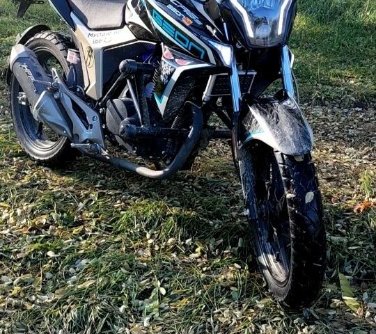 Геон Другая, объемом двигателя 0.25 л и пробегом 0 тыс. км за 1517 $, фото 8 на Automoto.ua