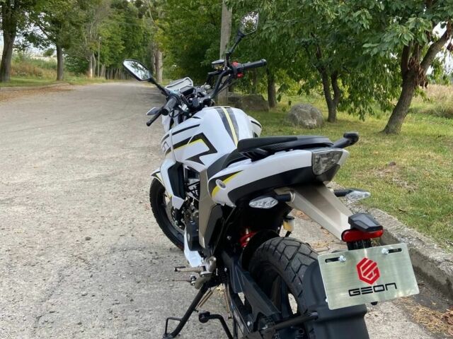 Геон Інша, об'ємом двигуна 0.25 л та пробігом 0 тис. км за 1430 $, фото 3 на Automoto.ua