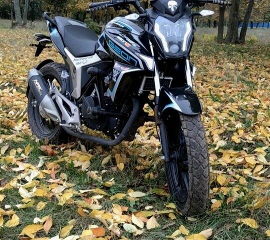 Геон Другая, объемом двигателя 0.25 л и пробегом 0 тыс. км за 1517 $, фото 7 на Automoto.ua