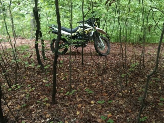 Геон Інша, об'ємом двигуна 0.25 л та пробігом 0 тис. км за 827 $, фото 15 на Automoto.ua