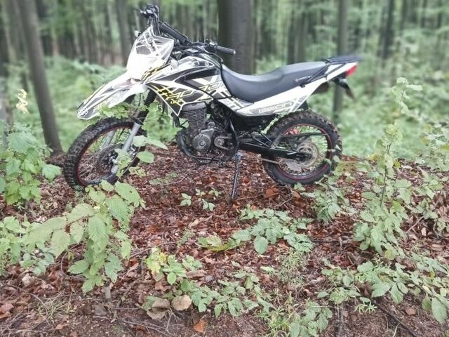 Геон Інша, об'ємом двигуна 0.25 л та пробігом 0 тис. км за 827 $, фото 1 на Automoto.ua