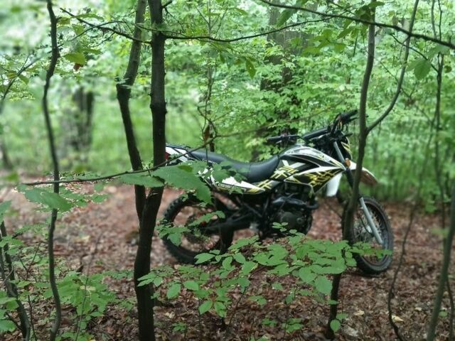 Геон Інша, об'ємом двигуна 0.25 л та пробігом 0 тис. км за 827 $, фото 14 на Automoto.ua