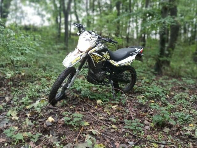 Геон Інша, об'ємом двигуна 0.25 л та пробігом 0 тис. км за 827 $, фото 5 на Automoto.ua