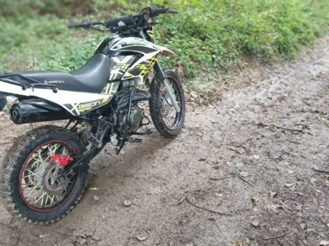 Геон Інша, об'ємом двигуна 0.25 л та пробігом 0 тис. км за 827 $, фото 9 на Automoto.ua