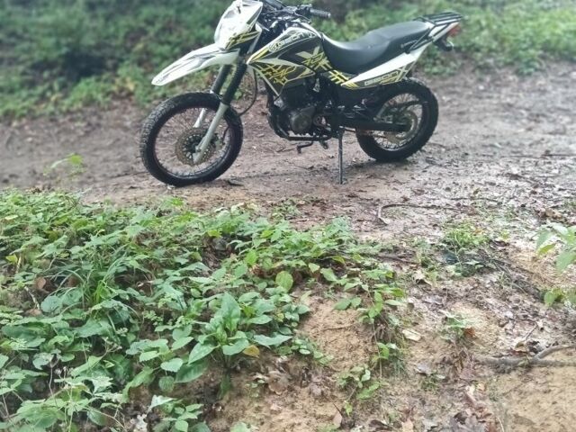 Геон Інша, об'ємом двигуна 0.25 л та пробігом 0 тис. км за 827 $, фото 10 на Automoto.ua
