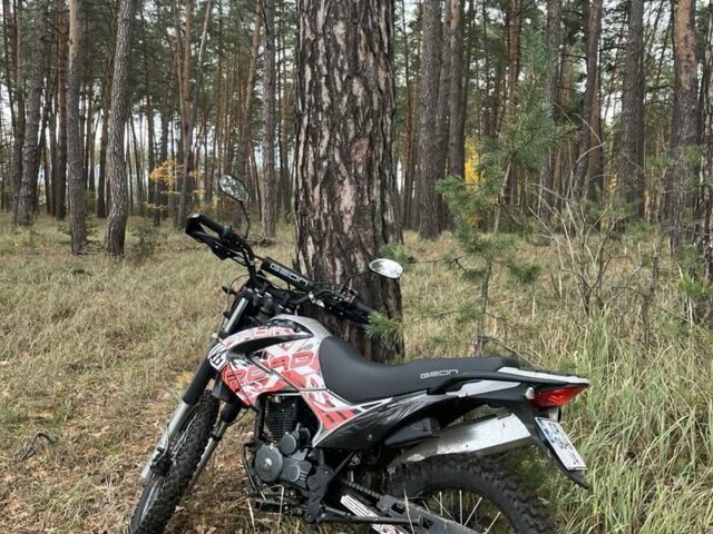 Геон Другая, объемом двигателя 0.25 л и пробегом 0 тыс. км за 1200 $, фото 1 на Automoto.ua