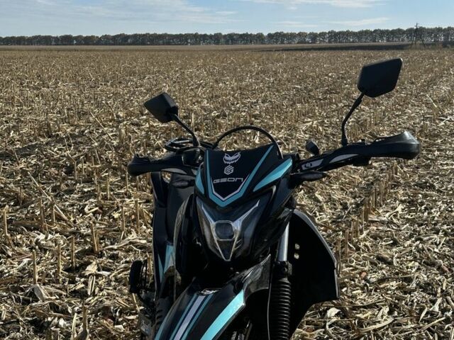 Геон Інша, об'ємом двигуна 0.25 л та пробігом 0 тис. км за 1650 $, фото 2 на Automoto.ua