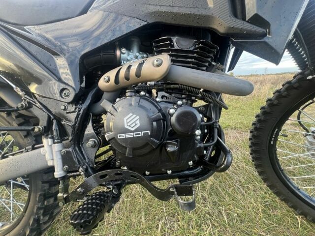 Геон Інша, об'ємом двигуна 0.25 л та пробігом 0 тис. км за 1500 $, фото 6 на Automoto.ua
