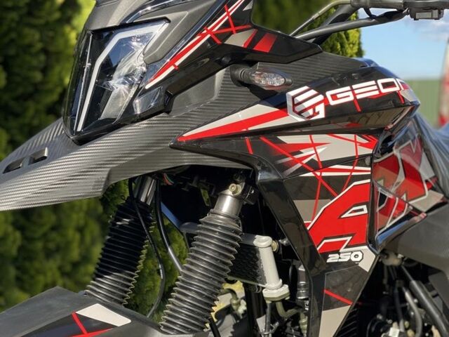 Геон Другая, объемом двигателя 0.25 л и пробегом 0 тыс. км за 1849 $, фото 7 на Automoto.ua