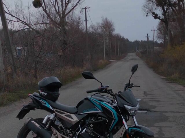 Геон Другая, объемом двигателя 1 л и пробегом 0 тыс. км за 5099 $, фото 11 на Automoto.ua