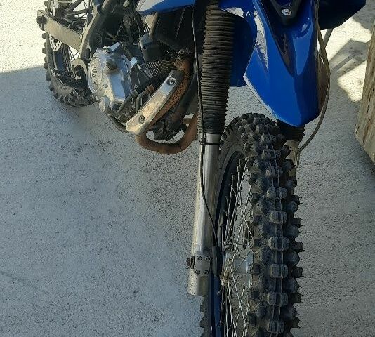 Геон Другая, объемом двигателя 0.25 л и пробегом 0 тыс. км за 1000 $, фото 3 на Automoto.ua