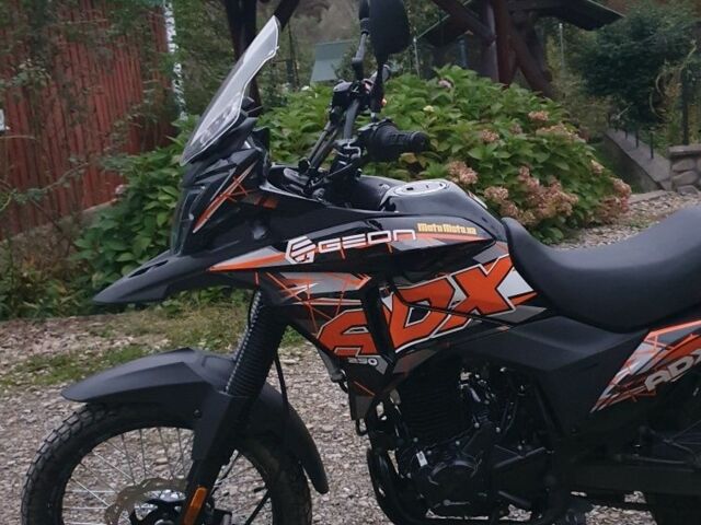 Геон Інша, об'ємом двигуна 0.25 л та пробігом 0 тис. км за 1550 $, фото 3 на Automoto.ua