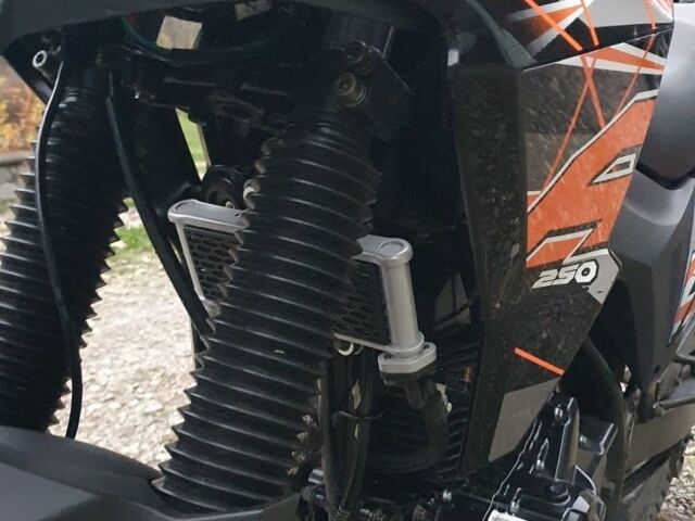 Геон Інша, об'ємом двигуна 0.25 л та пробігом 0 тис. км за 1550 $, фото 9 на Automoto.ua