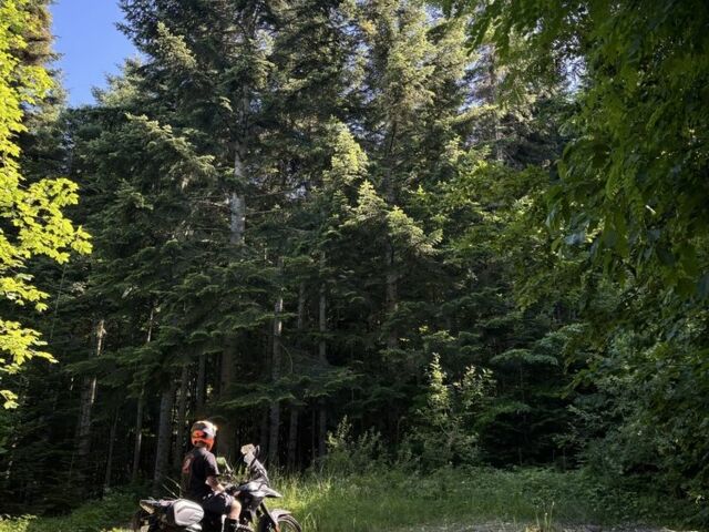 Геон Другая, объемом двигателя 0.25 л и пробегом 0 тыс. км за 1200 $, фото 1 на Automoto.ua