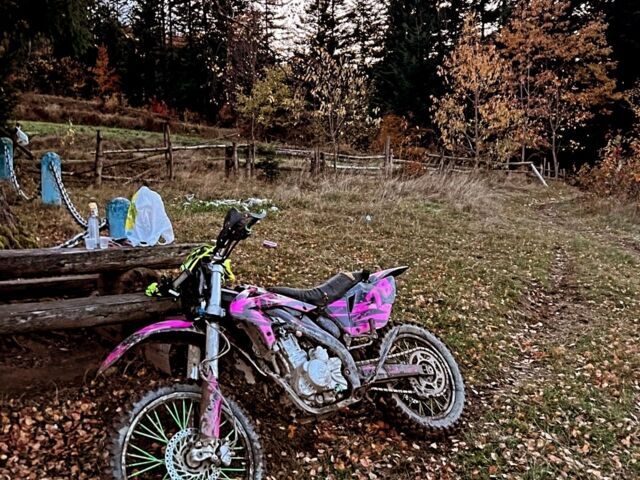 Геон Другая, объемом двигателя 0.3 л и пробегом 0 тыс. км за 2100 $, фото 6 на Automoto.ua