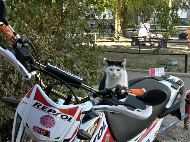 Геон Другая, объемом двигателя 0.25 л и пробегом 0 тыс. км за 1099 $, фото 5 на Automoto.ua