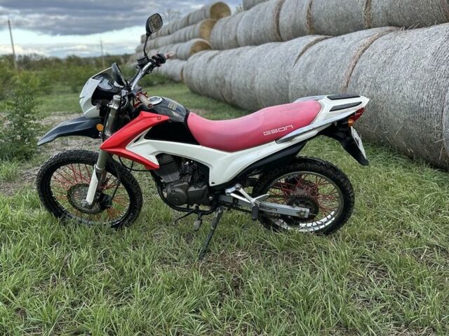Геон Другая, объемом двигателя 0.2 л и пробегом 0 тыс. км за 600 $, фото 6 на Automoto.ua