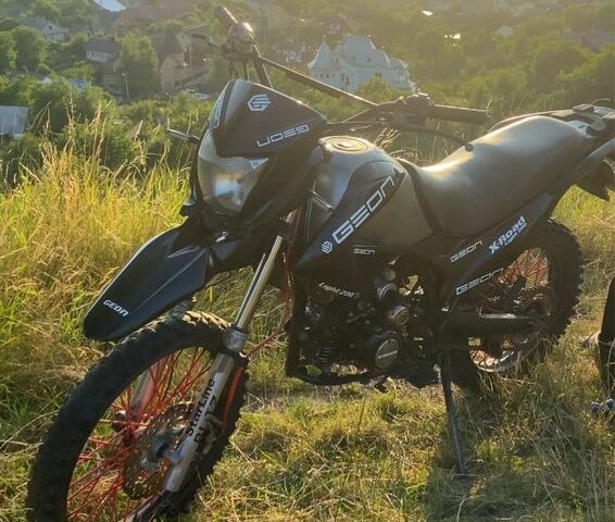 Геон Другая, объемом двигателя 0.2 л и пробегом 0 тыс. км за 839 $, фото 2 на Automoto.ua