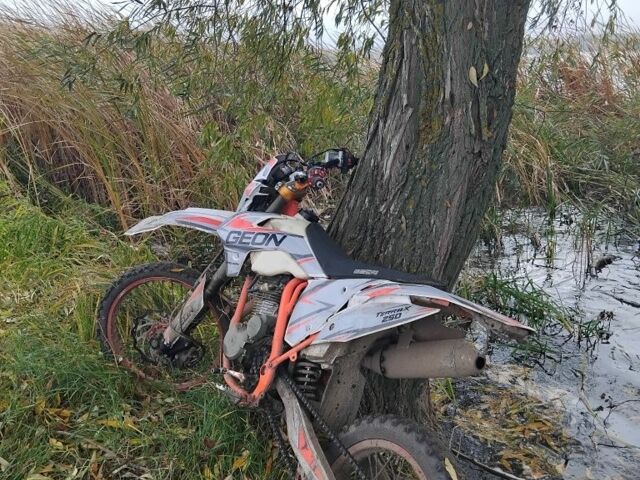 Геон Інша, об'ємом двигуна 0.25 л та пробігом 0 тис. км за 780 $, фото 1 на Automoto.ua