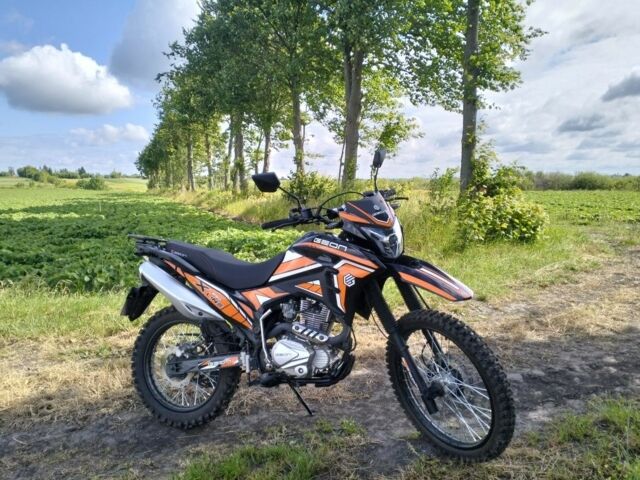 Геон Інша, об'ємом двигуна 0.25 л та пробігом 0 тис. км за 1450 $, фото 1 на Automoto.ua