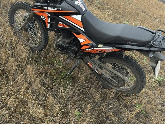 Геон Інша, об'ємом двигуна 0.25 л та пробігом 0 тис. км за 1390 $, фото 1 на Automoto.ua