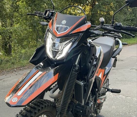 Геон Інша, об'ємом двигуна 0.25 л та пробігом 0 тис. км за 1680 $, фото 3 на Automoto.ua