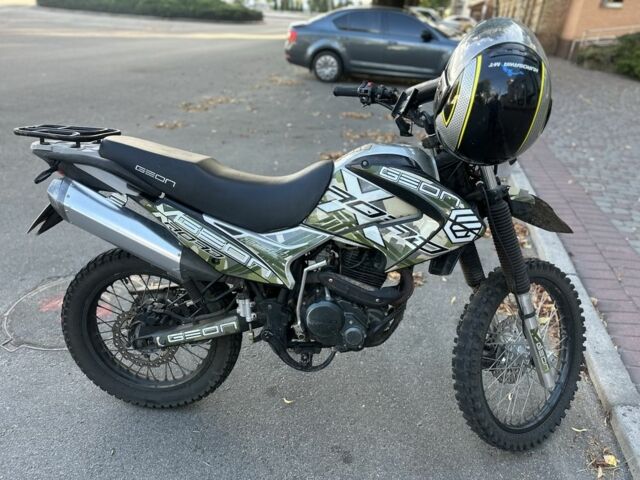 Геон Інша, об'ємом двигуна 0.25 л та пробігом 0 тис. км за 1200 $, фото 6 на Automoto.ua