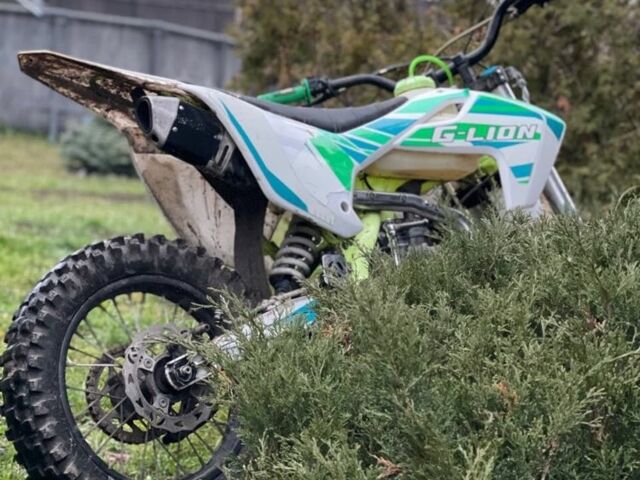 Геон Другая, объемом двигателя 0.15 л и пробегом 0 тыс. км за 568 $, фото 2 на Automoto.ua