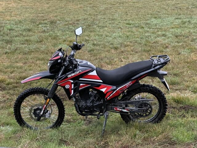 Геон Інша, об'ємом двигуна 0.25 л та пробігом 0 тис. км за 1400 $, фото 7 на Automoto.ua