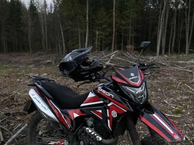 Геон Інша, об'ємом двигуна 0.25 л та пробігом 0 тис. км за 1400 $, фото 9 на Automoto.ua