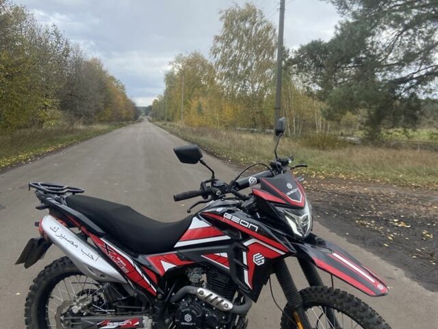 Геон Інша, об'ємом двигуна 0.25 л та пробігом 0 тис. км за 1400 $, фото 3 на Automoto.ua