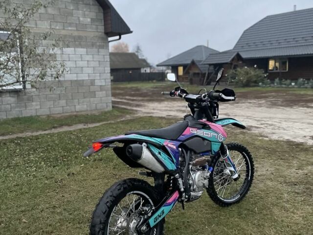 Геон Другая, объемом двигателя 0.3 л и пробегом 0 тыс. км за 2500 $, фото 17 на Automoto.ua