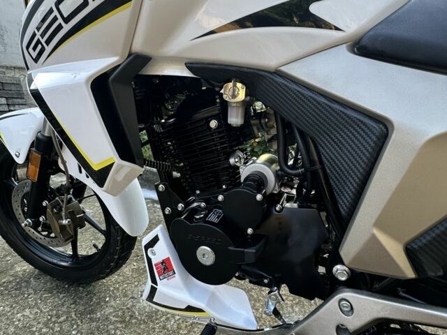 Геон Другая, объемом двигателя 0.25 л и пробегом 0 тыс. км за 1550 $, фото 3 на Automoto.ua