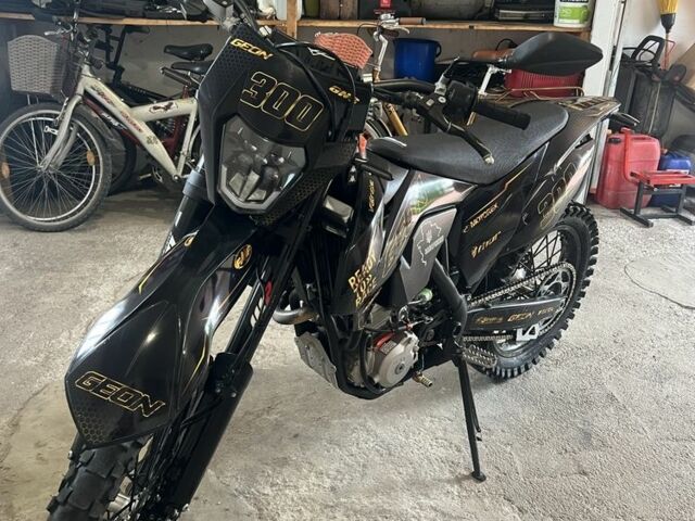 Геон Другая, объемом двигателя 0.3 л и пробегом 0 тыс. км за 2700 $, фото 1 на Automoto.ua