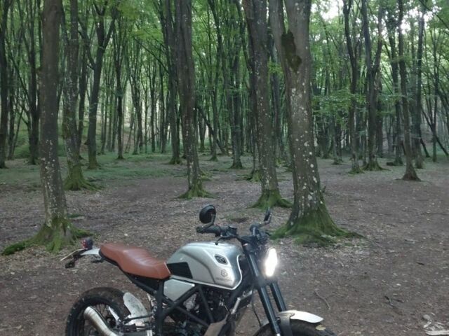 Геон Другая, объемом двигателя 0.25 л и пробегом 0 тыс. км за 1480 $, фото 3 на Automoto.ua