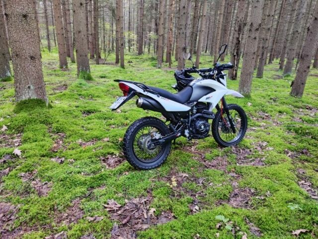 Геон Другая 2019 в Полонном на Automoto.ua Геон Другая, объемом двигателя 0 л и пробегом 0 тыс. км за 999 $, фото 2 на Automoto.ua