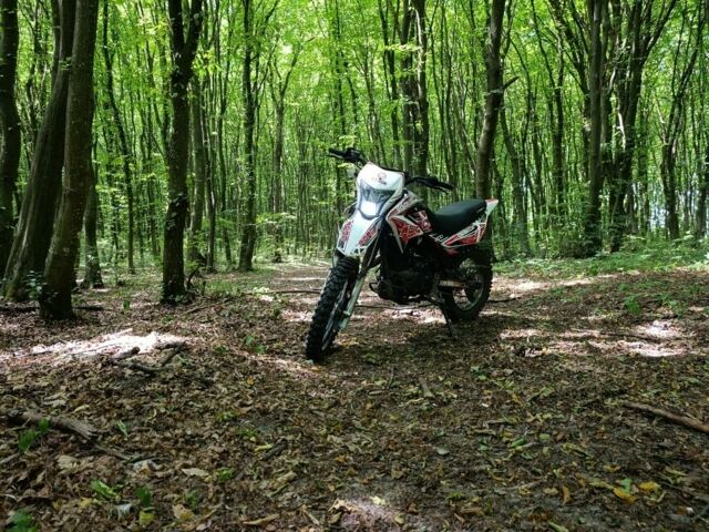Геон Інша, об'ємом двигуна 0.2 л та пробігом 0 тис. км за 900 $, фото 5 на Automoto.ua