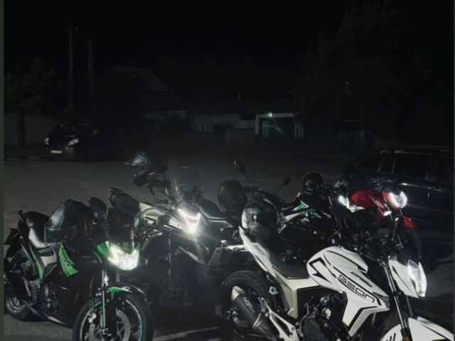 Геон Інша, об'ємом двигуна 0.25 л та пробігом 0 тис. км за 1450 $, фото 12 на Automoto.ua