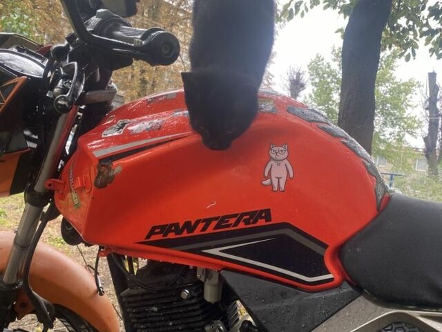 Геон Другая, объемом двигателя 0.2 л и пробегом 0 тыс. км за 483 $, фото 1 на Automoto.ua