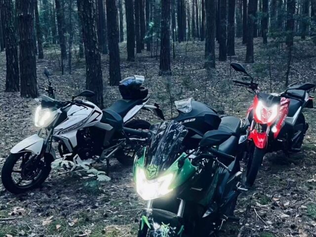 Геон Інша, об'ємом двигуна 0.25 л та пробігом 0 тис. км за 1450 $, фото 11 на Automoto.ua