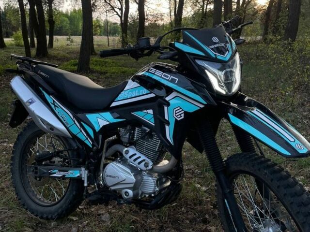 Геон Інша, об'ємом двигуна 0.25 л та пробігом 0 тис. км за 1100 $, фото 5 на Automoto.ua