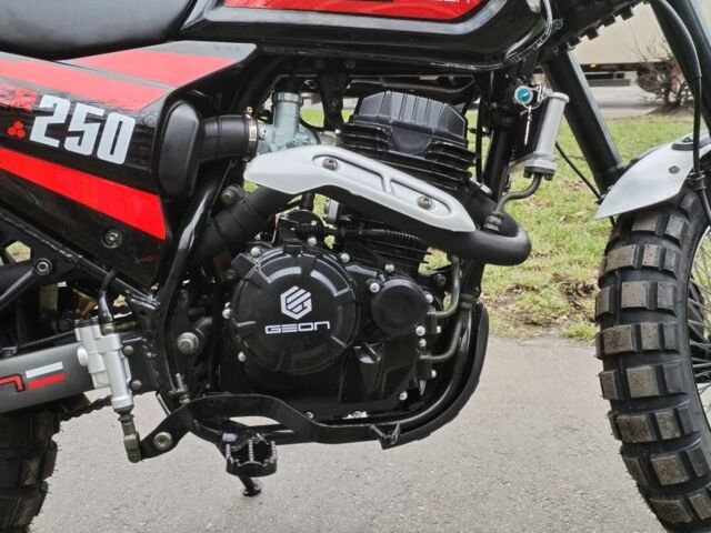 Геон Другая, объемом двигателя 0.25 л и пробегом 0 тыс. км за 1929 $, фото 6 на Automoto.ua