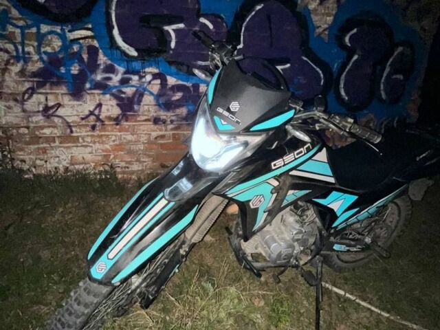 Геон Інша, об'ємом двигуна 0.25 л та пробігом 0 тис. км за 1100 $, фото 7 на Automoto.ua