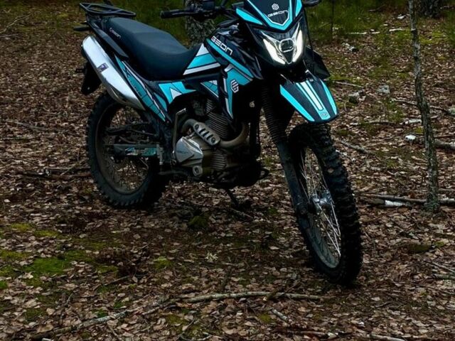 Геон Інша, об'ємом двигуна 0.25 л та пробігом 0 тис. км за 1100 $, фото 2 на Automoto.ua