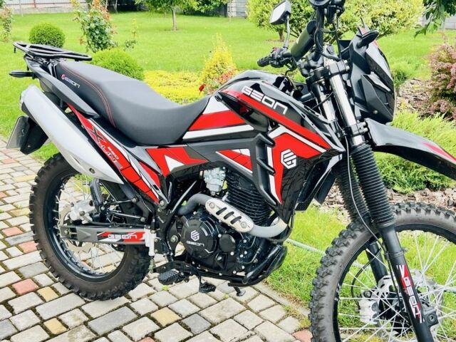 Геон Другая, объемом двигателя 0.25 л и пробегом 0 тыс. км за 1600 $, фото 5 на Automoto.ua