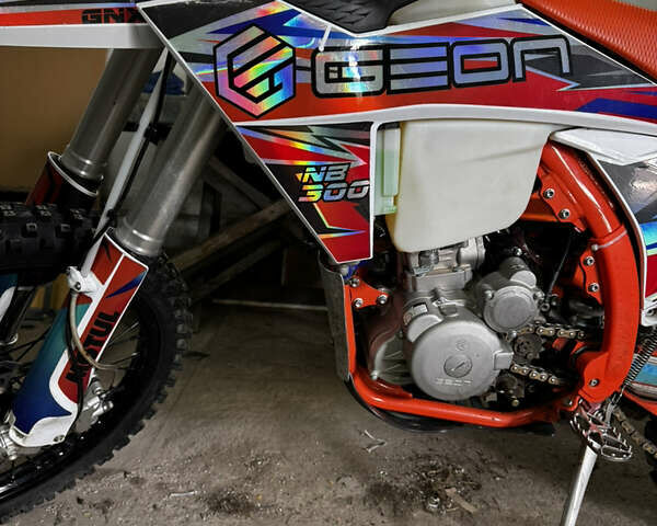 Білий Геон GNX 300 NB Enduro, об'ємом двигуна 0.3 л та пробігом 17 тис. км за 2500 $, фото 4 на Automoto.ua