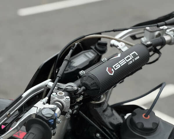 Геон GNX 300 NB Enduro, объемом двигателя 0.3 л и пробегом 6 тыс. км за 2800 $, фото 10 на Automoto.ua